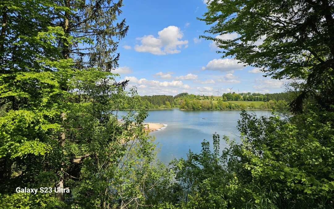 Autour du lac de Bütgenbach : une échappée lumineuse avec Yuki