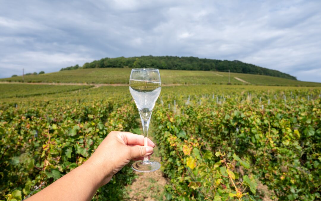 Sur les traces de l’excellence : d’AY à HAUTVILLERS, entre Lalique et Dom Pérignon