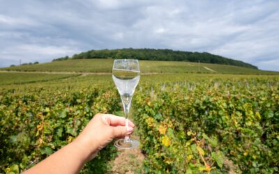 Sur les traces de l’excellence : d’AY à HAUTVILLERS, entre Lalique et Dom Pérignon