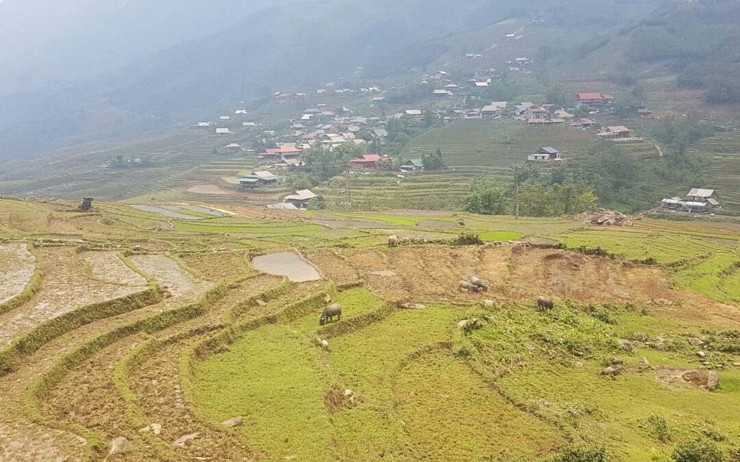 Halte insolite sur les routes du Vietnam – bambous de riz et sieste en hamac