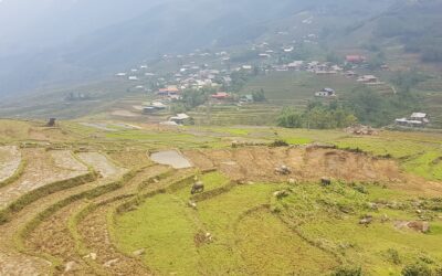 Halte insolite sur les routes du Vietnam – bambous de riz et sieste en hamac